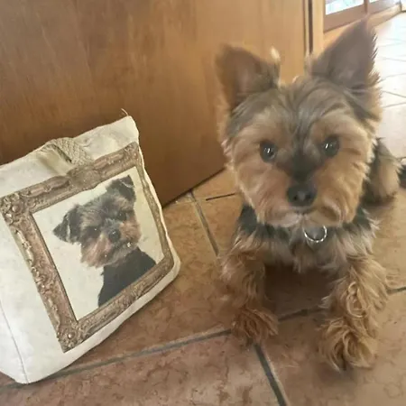 Diaz 18 4* ורונה